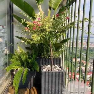 bộ 3 chậu vuông xếp góc