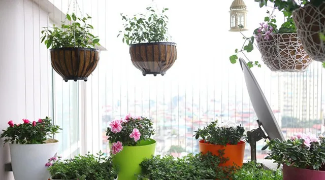 Thư Viện Mẫu Ban Công Đẹp | Ban Công Xinh 84 chau gio cay hoa ban cong