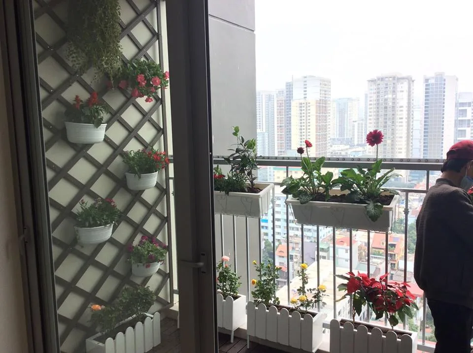 Thư Viện Mẫu Ban Công Đẹp | Ban Công Xinh 87 trang trí ban công chung cư