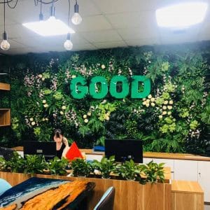 Tường cây hoa giả trang trí sau quầy thu ngân lễ tân