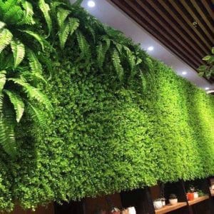 tường cây hoa decor quán cà phê