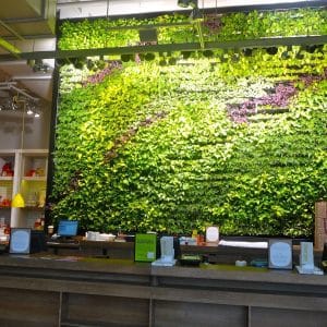 tường cây giả nhà hàng