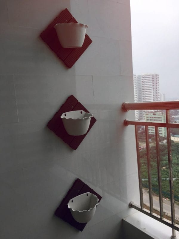chậu vỉ composite trồng hoa