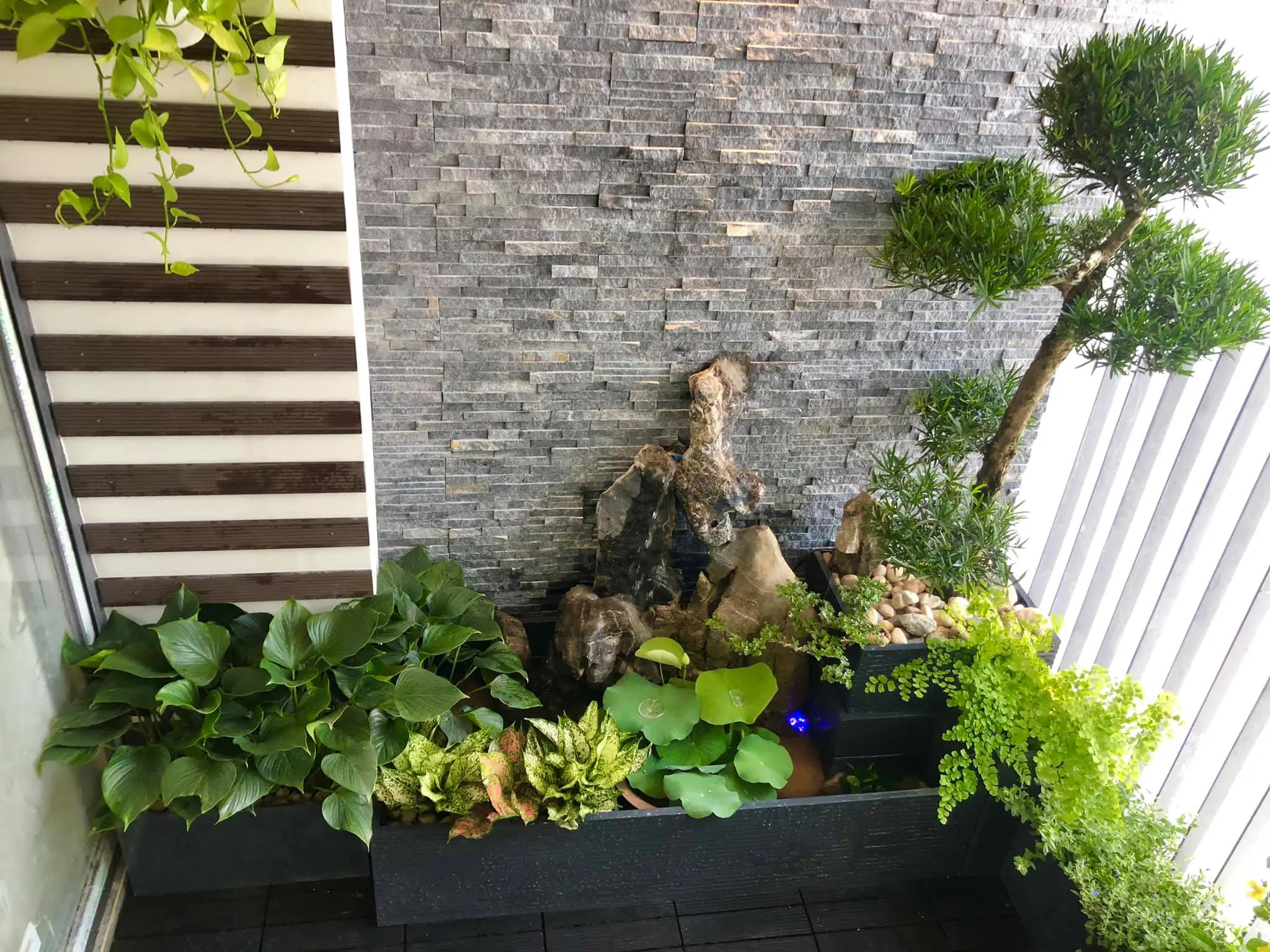 Thư Viện Mẫu Ban Công Đẹp | Ban Công Xinh 36 trang trí tiểu cảnh ban công với hồ nước cây bonsai