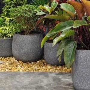 CHẬU TRỒNG CÂY