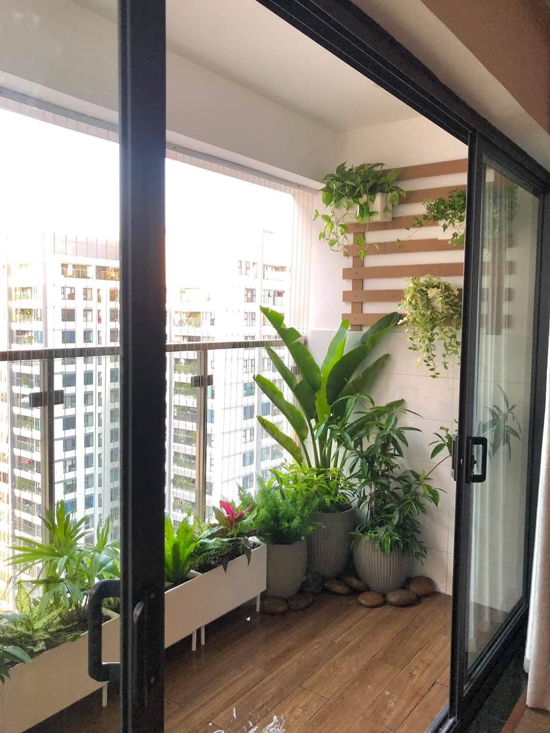 bộ chậu trứng để góc ban công đẹp