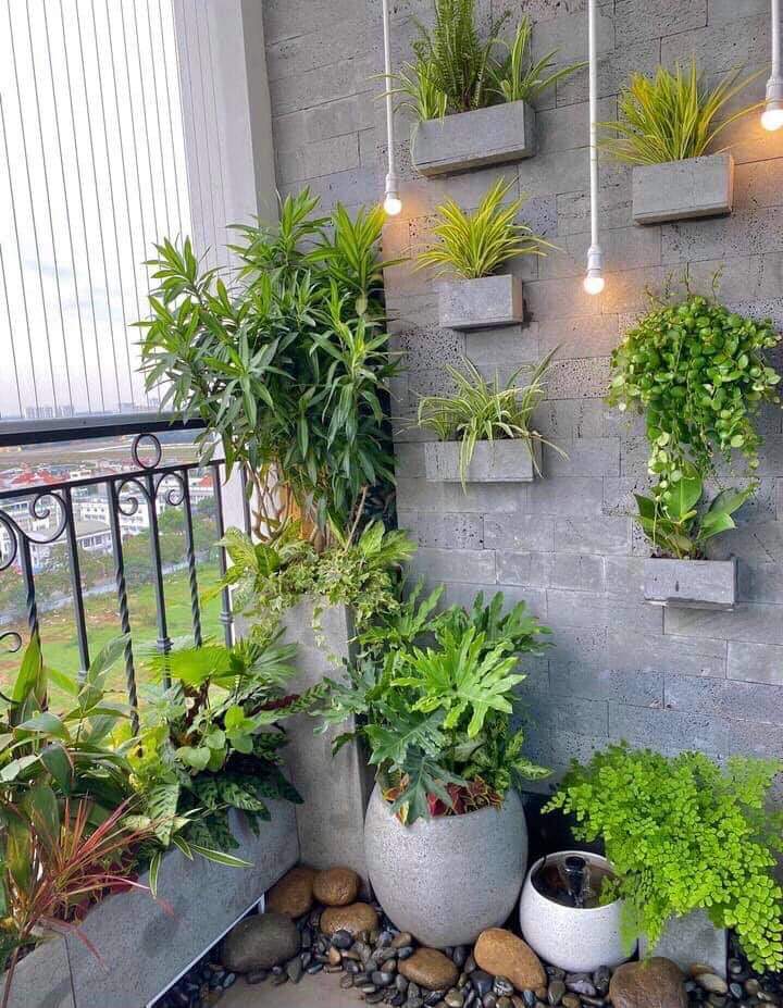 mẫu bộ chậu trứng để góc ban công đẹp tường ốp đá ong