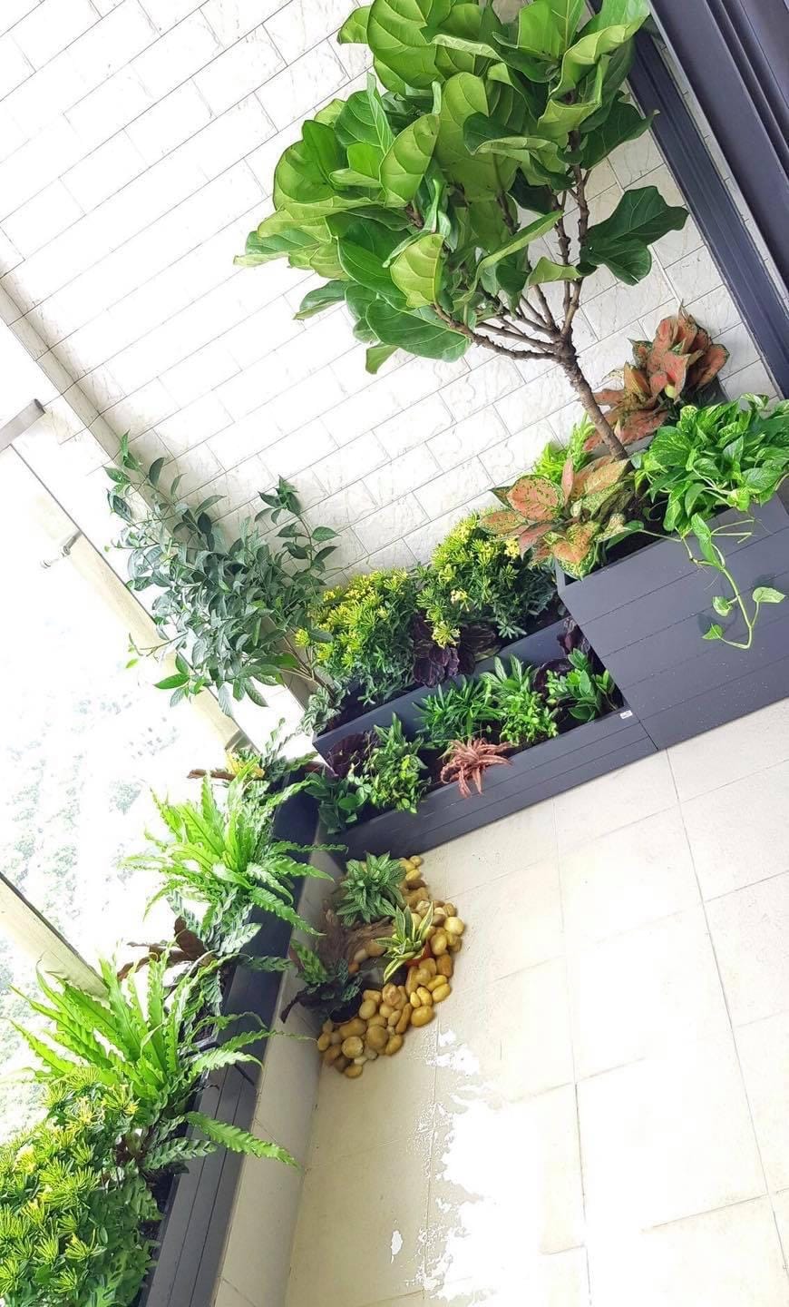 chậu 2 tầng để góc ban công