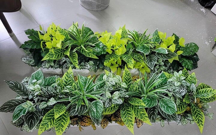 chậu cây giả cắm xốp