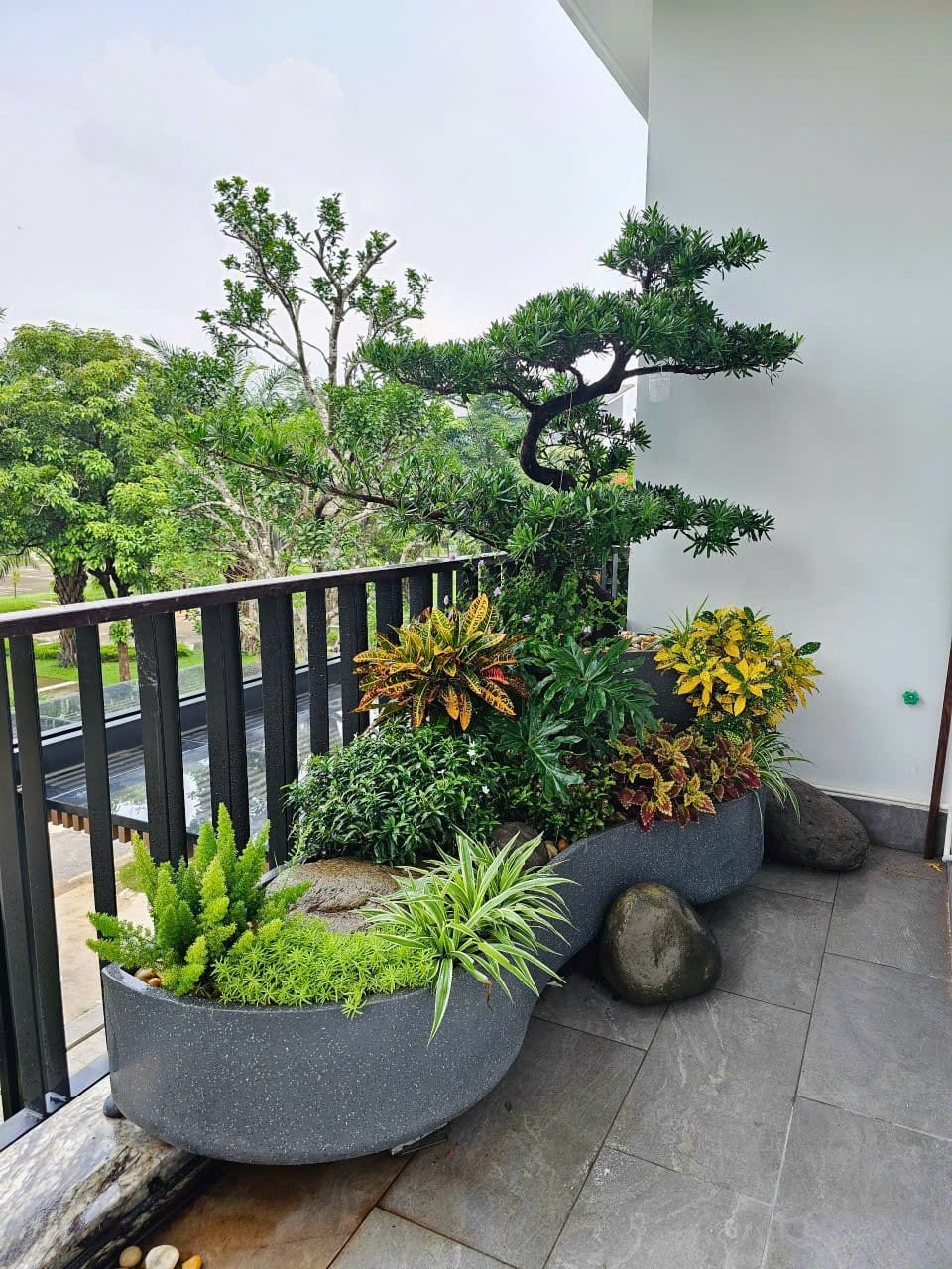 chậu composite góc cong