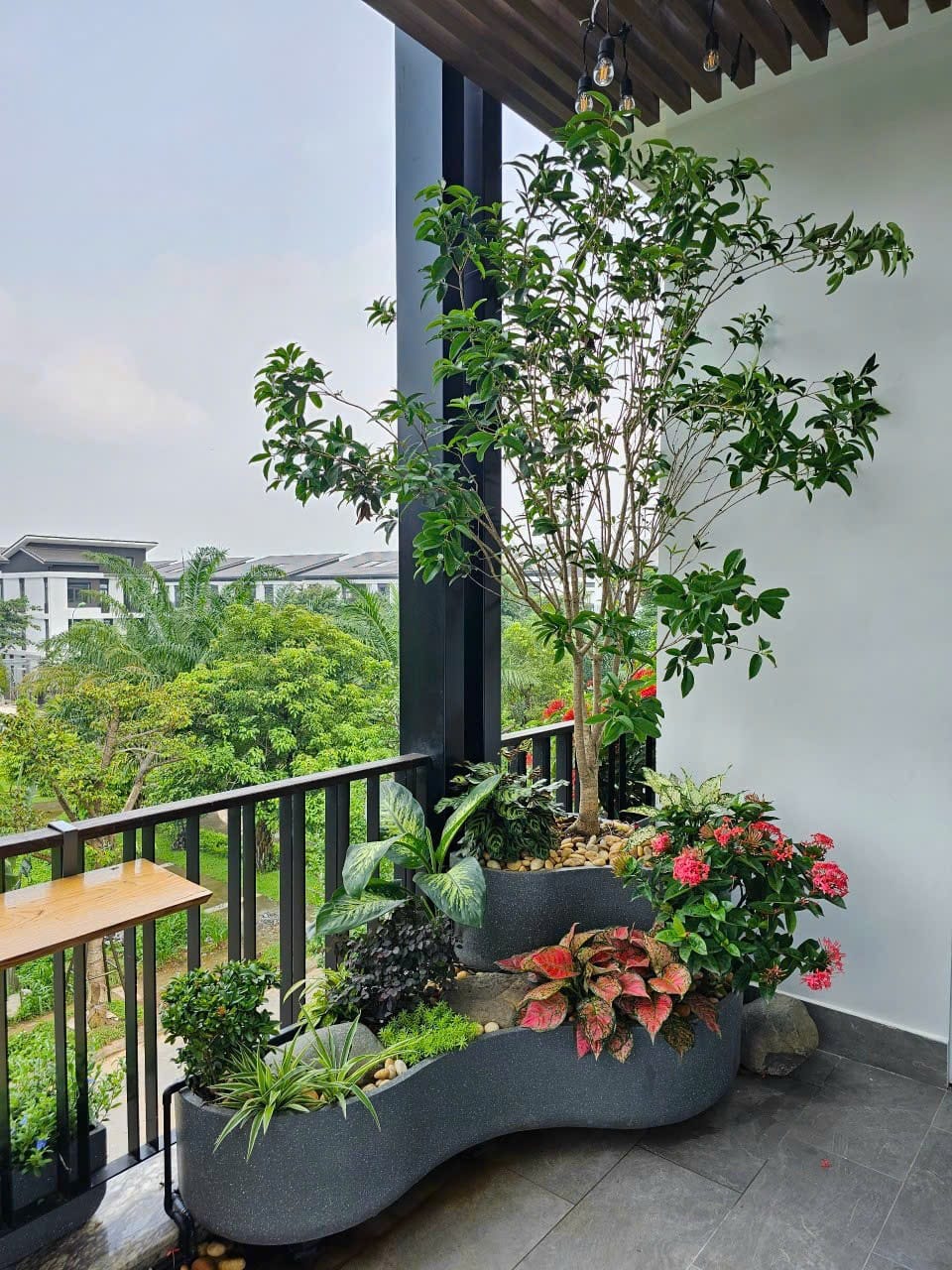 chậu góc cong ban công