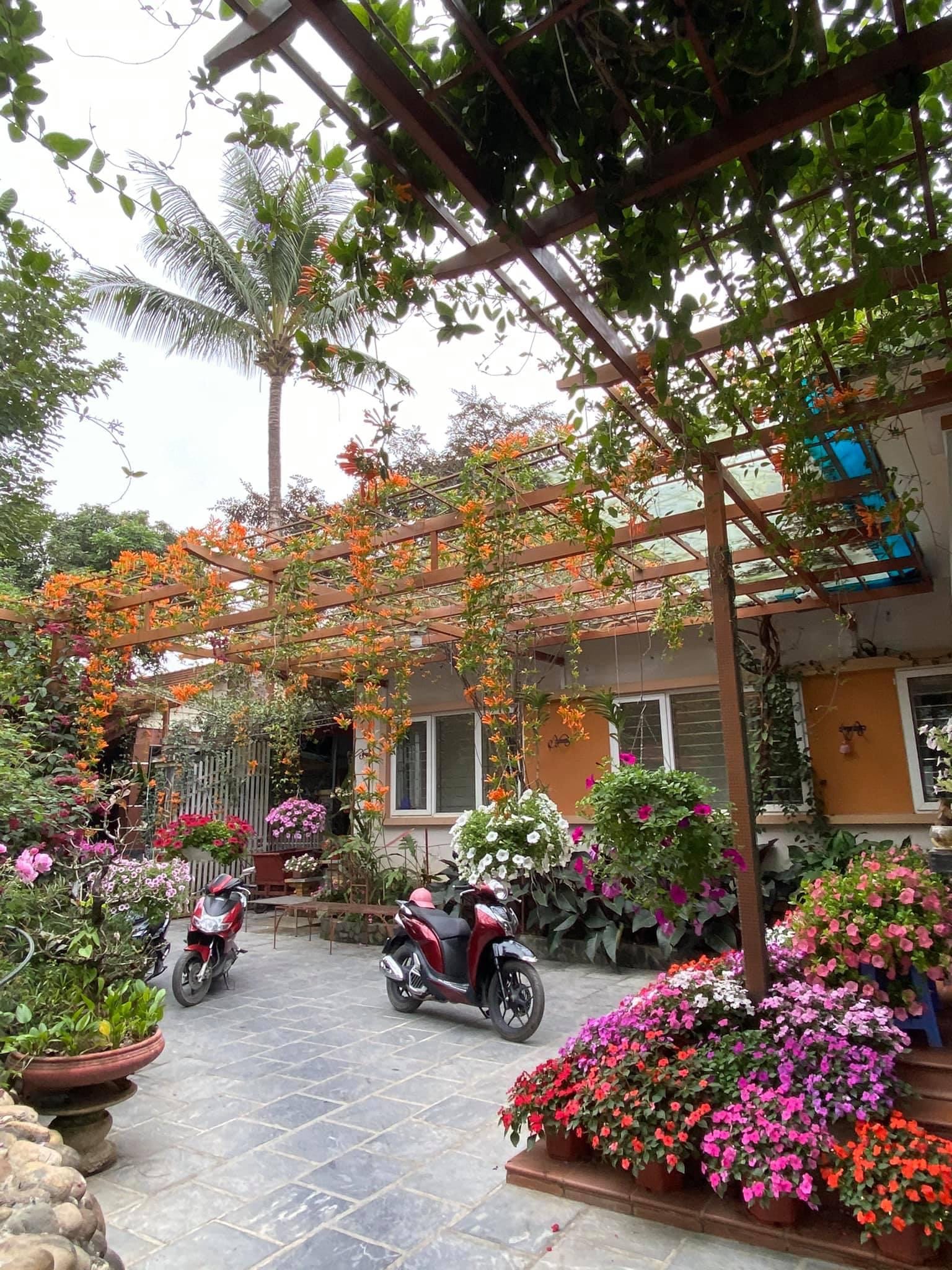 giàn leo cây sân vườn