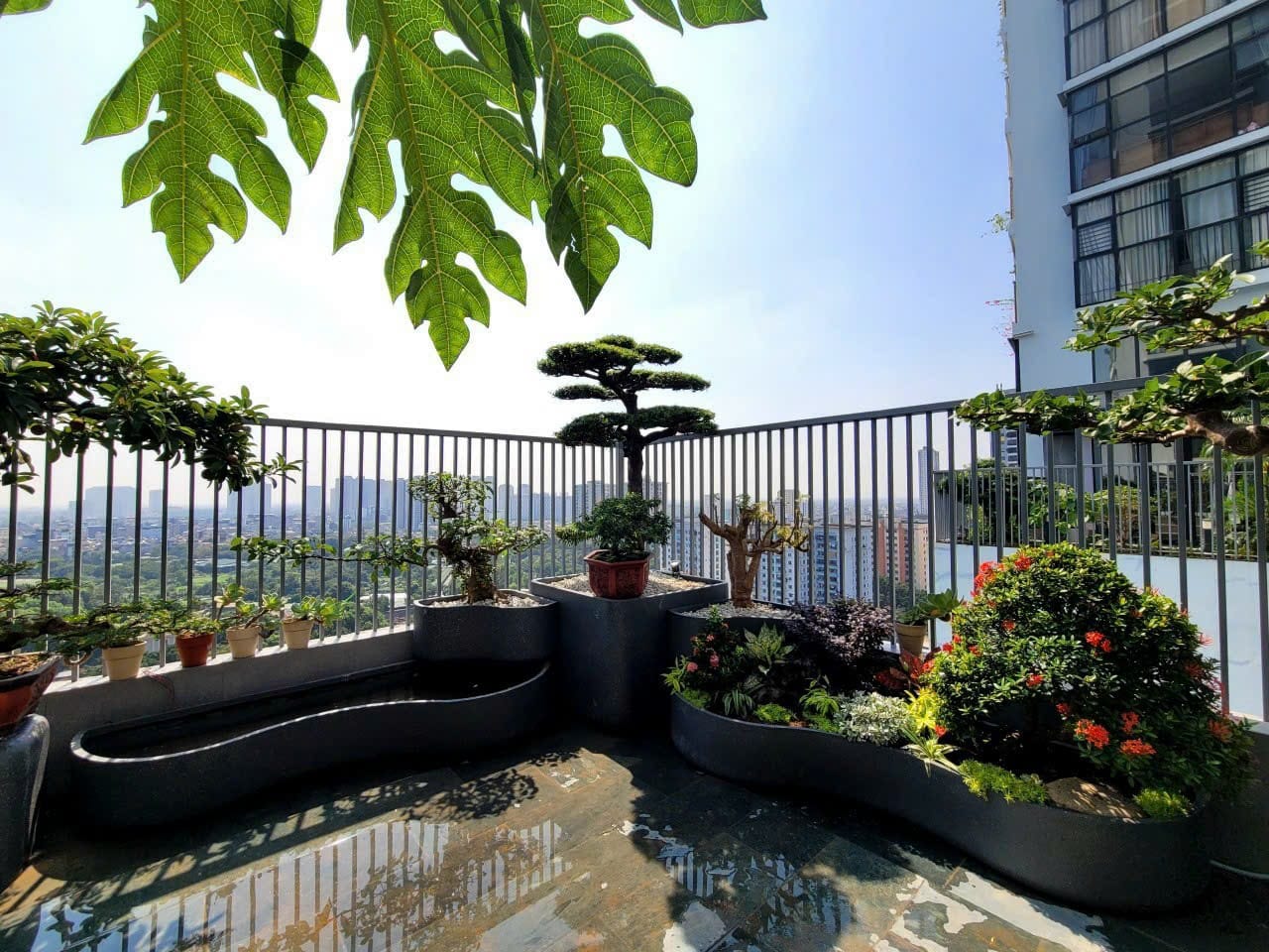 hệ chậu composite sân thượng