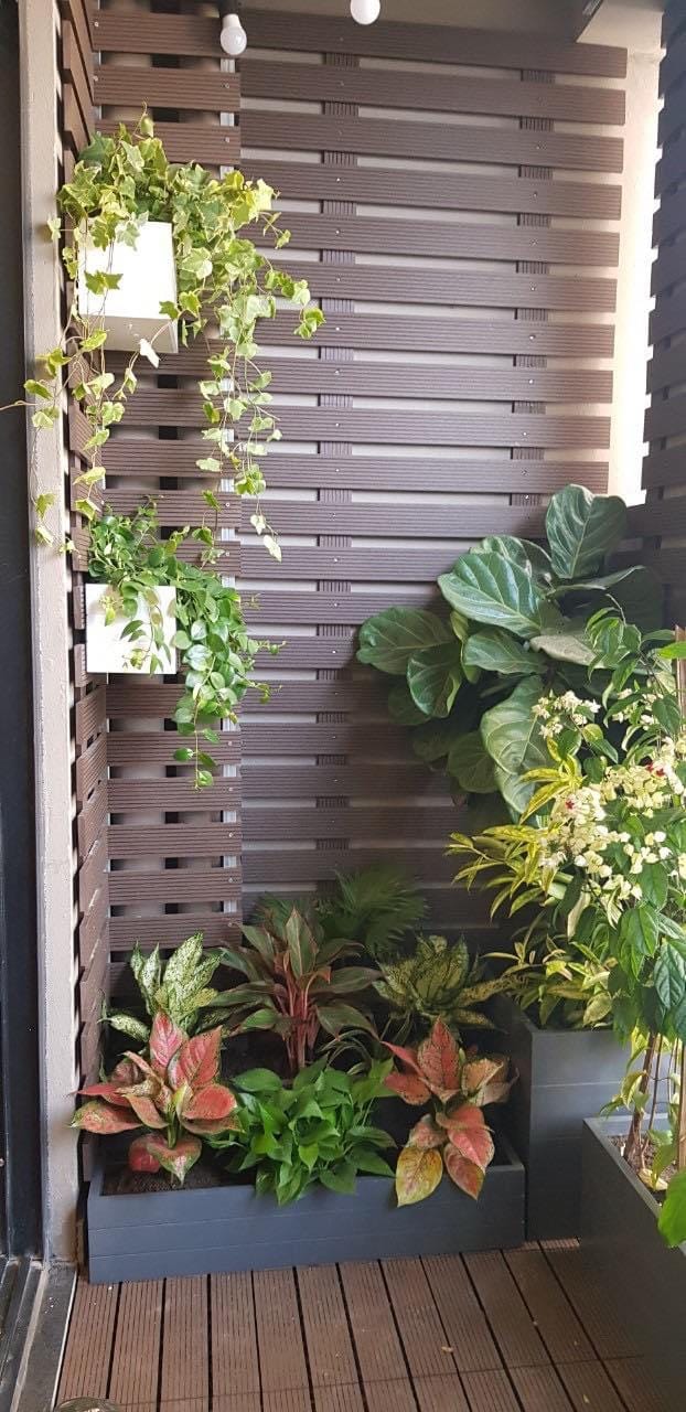 khung giàn trang trí và che cục nóng