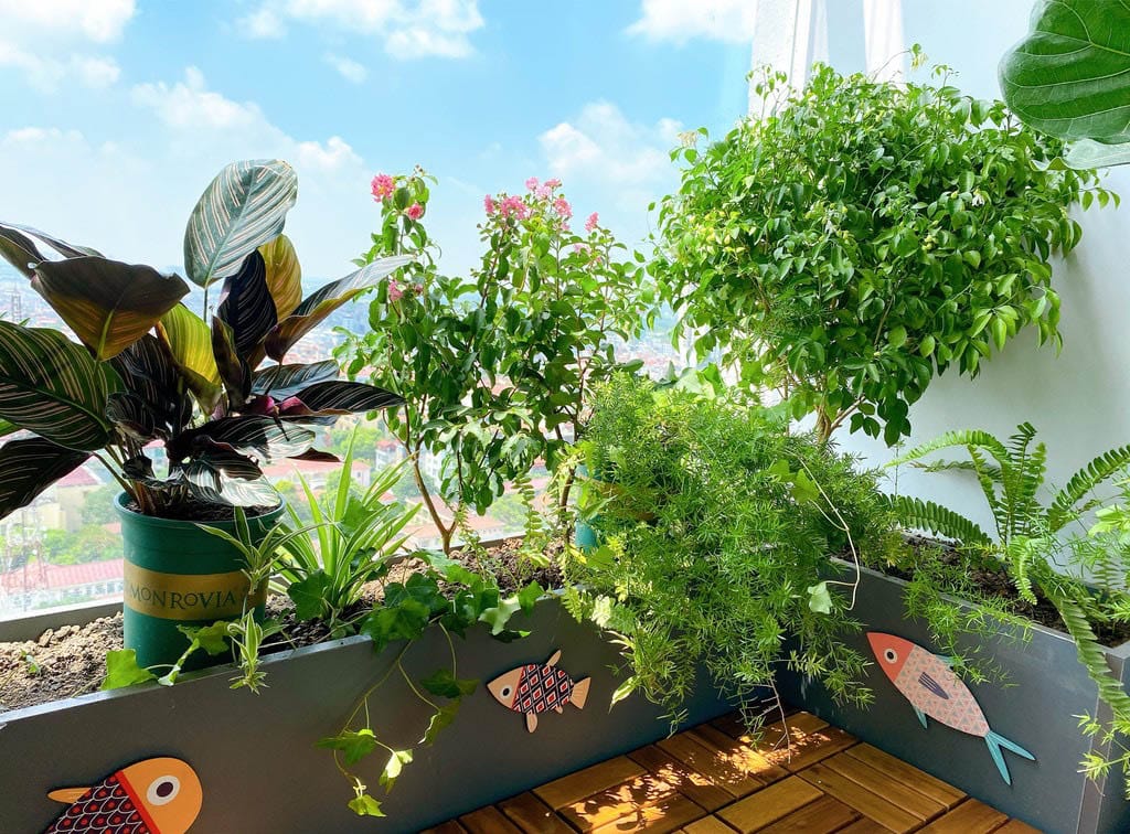 mẫu chậu ban công thiết kế trẻ trung gen Z