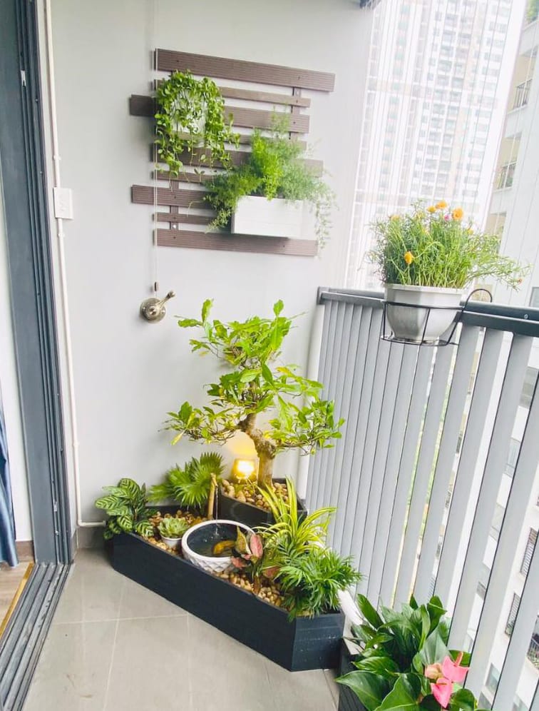 mẫu chậu tiểu cảnh