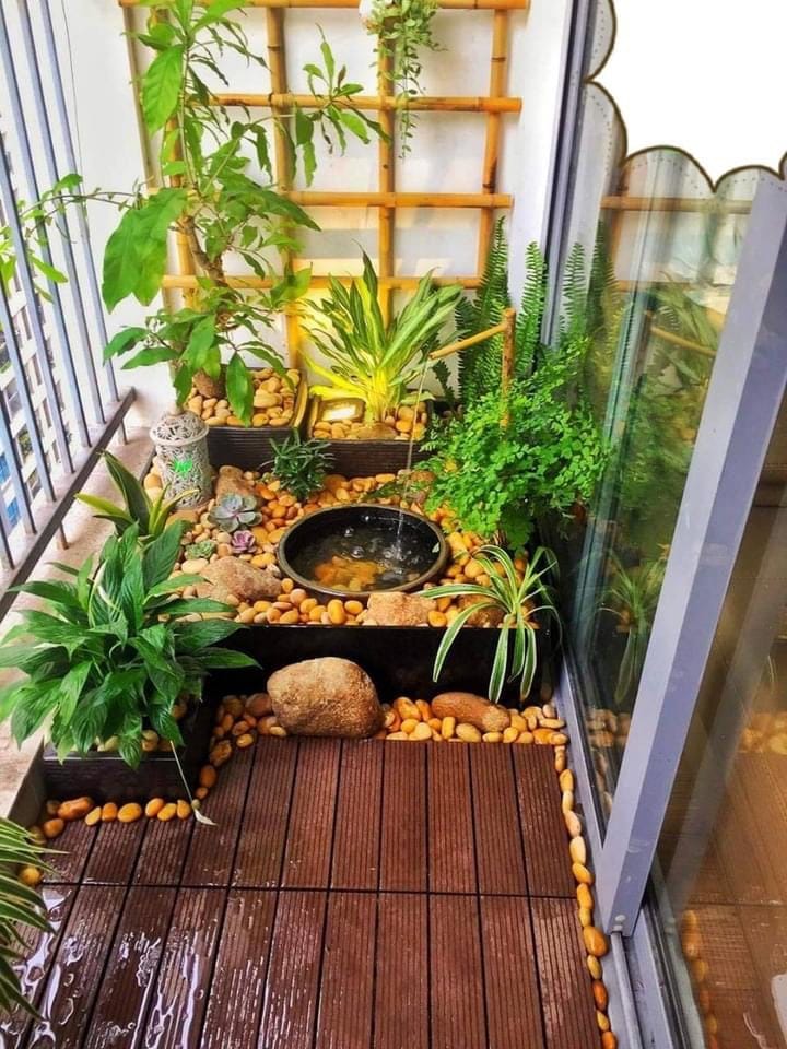 mẫu chậu tiểu cảnh