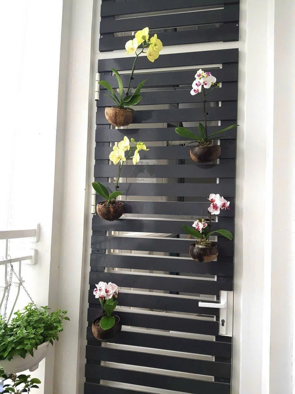 mẫu che cửa điều hòa ban công
