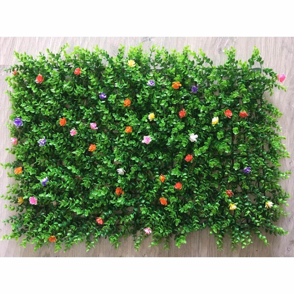 mẫu cỏ tai chuột hoa nhí
