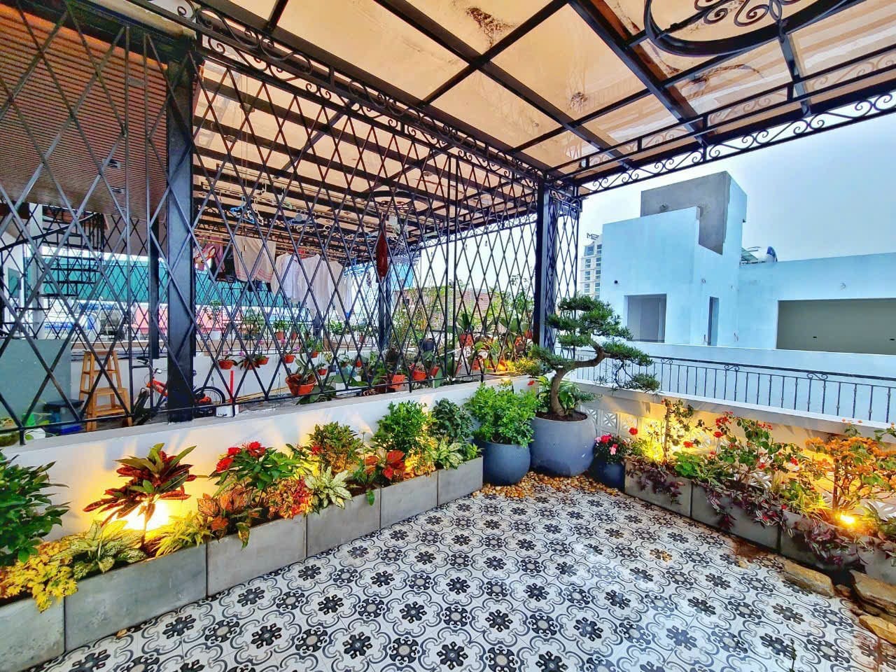 mẫu chậu cây đặt sân thượng