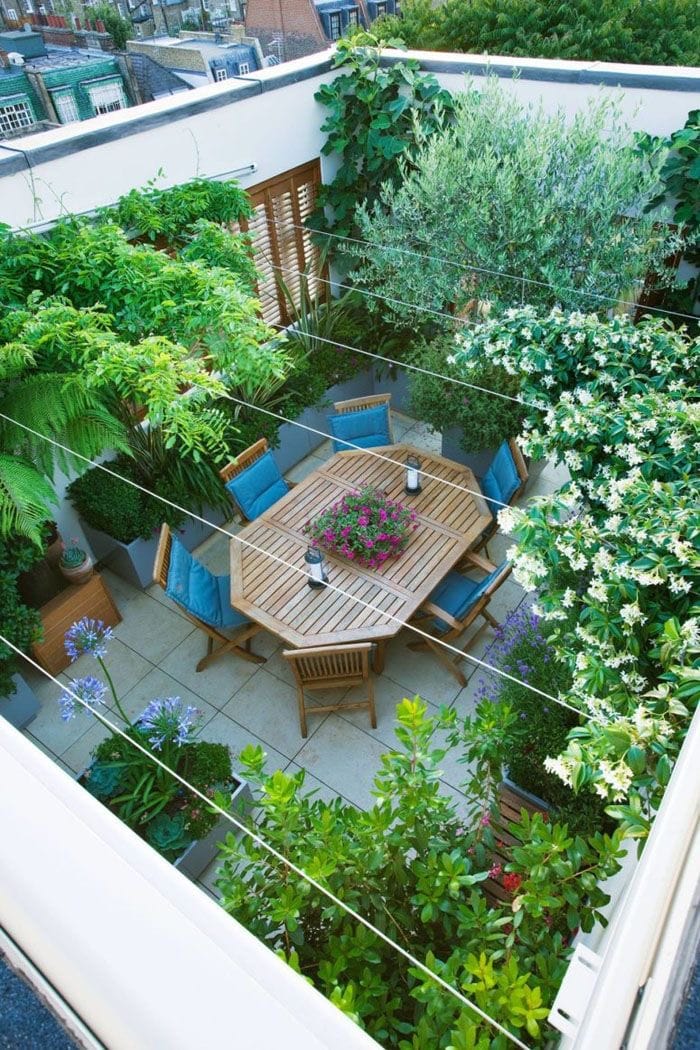 sân thượng trồng cây phong cách tropical