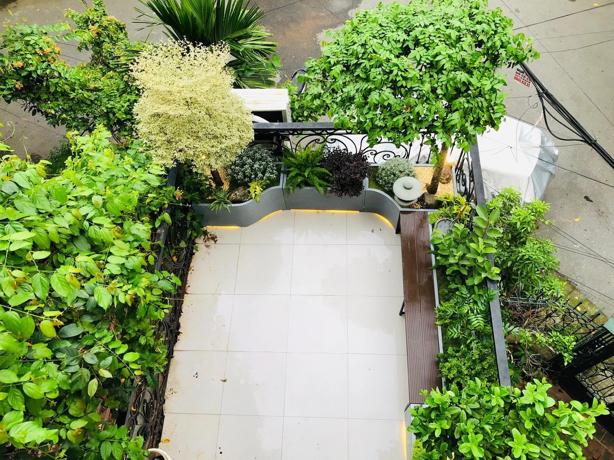ban công sân thượng trồng cây đẹp, tropical
