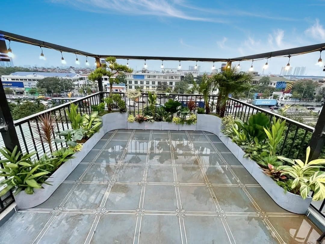mẫu trang trí sân thượng trồng cây đẹp