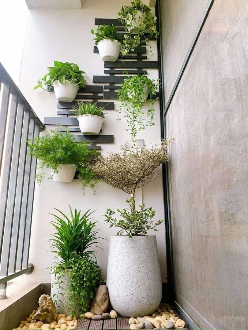 mẫu tường ban công đẹp kết hợp chậu giọt nước