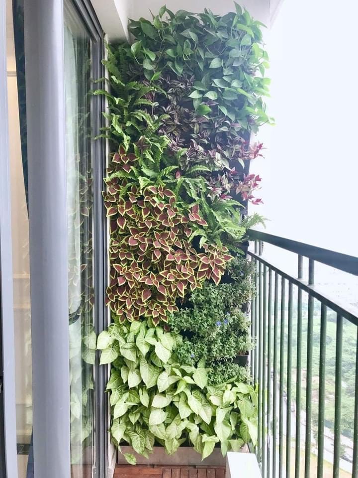 tường cây đứng