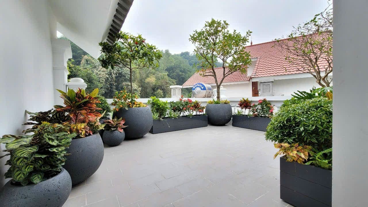 sân thượng trồng cây trang trí
