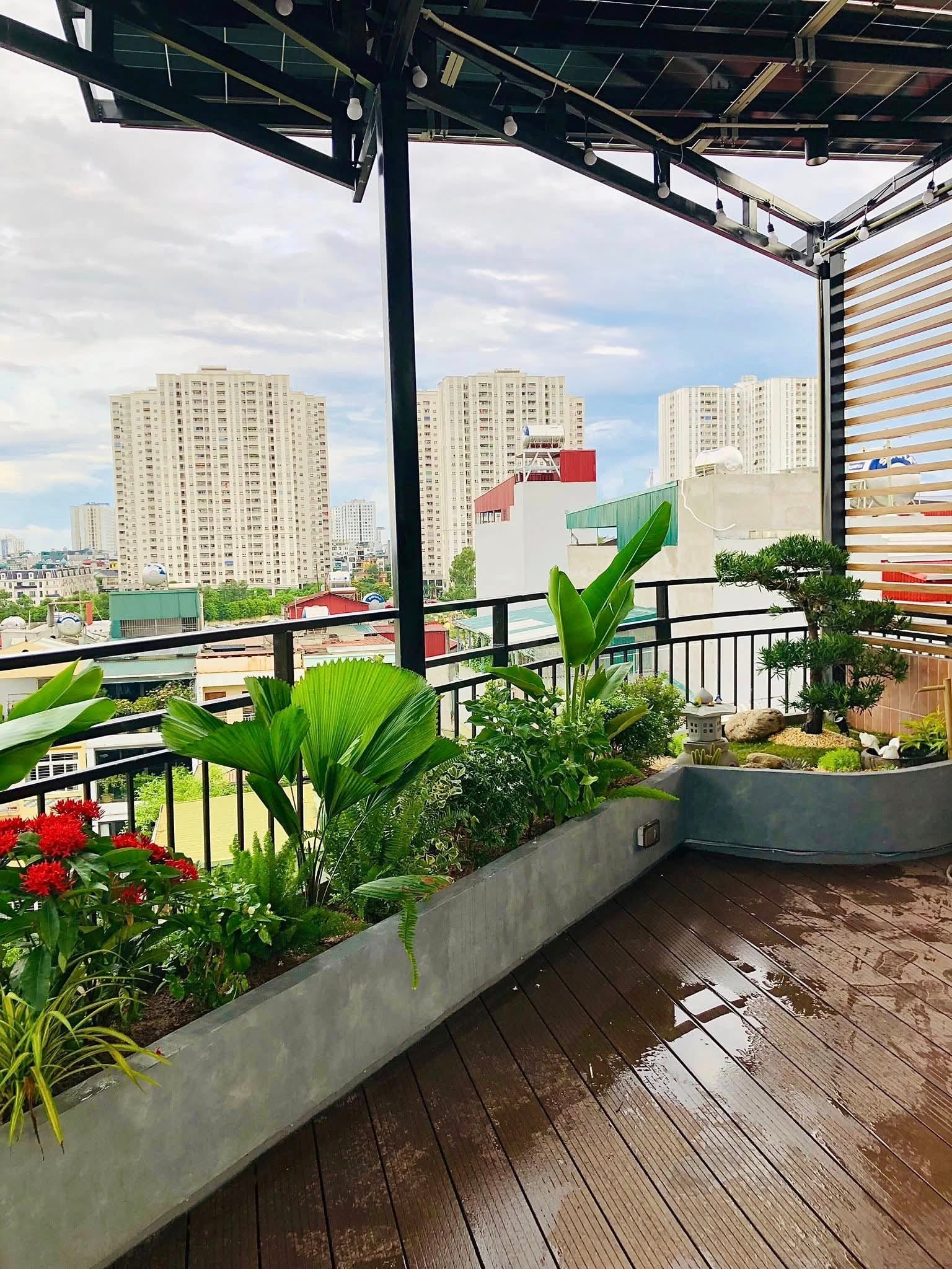 trồng cây ban công sân thượng