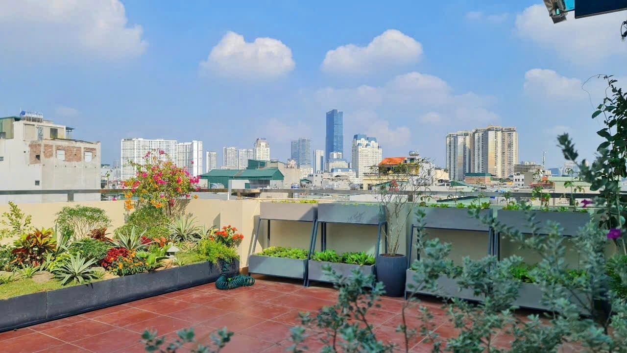 tận dụng sân thượng làm hệ chậu trồng cây cảnh và rau ăn