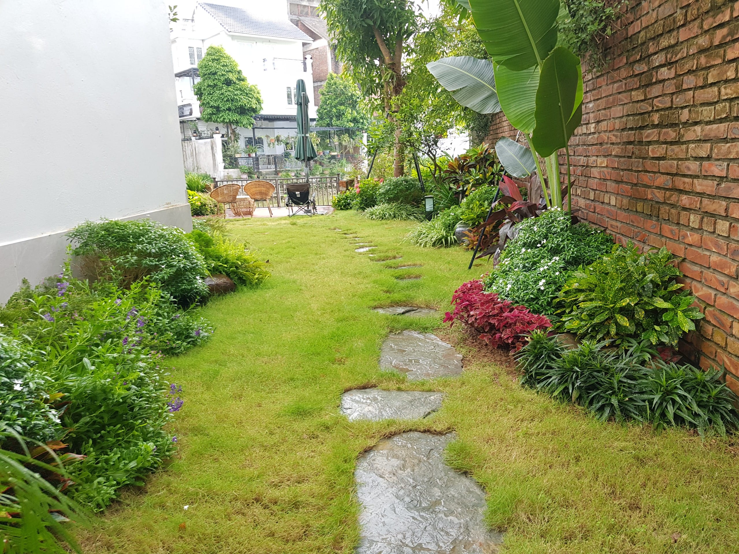 thi công sân vườn trải cỏ lối đi