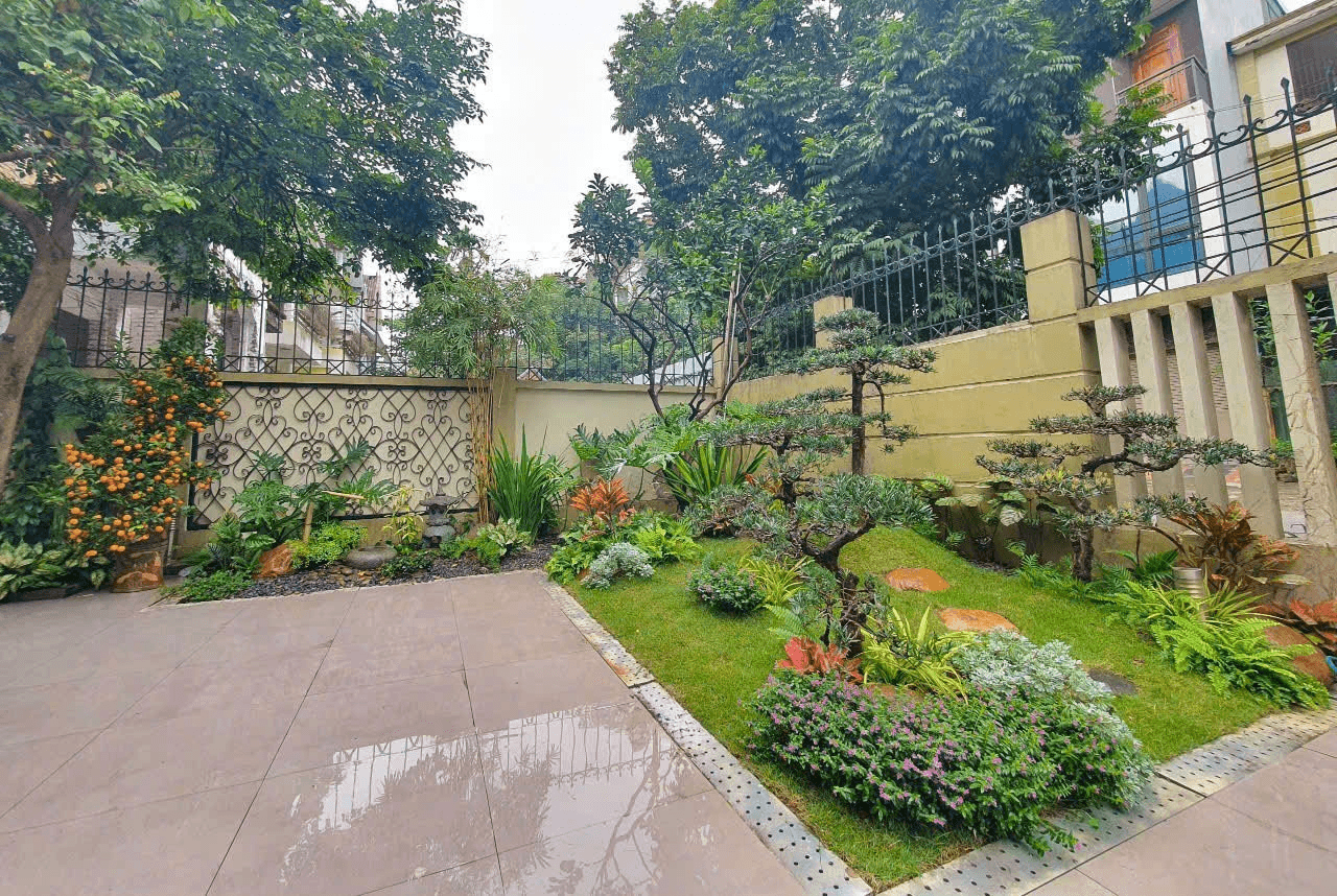 thi công trang trí sân vườn tiểu cảnh đắp đồi tùng