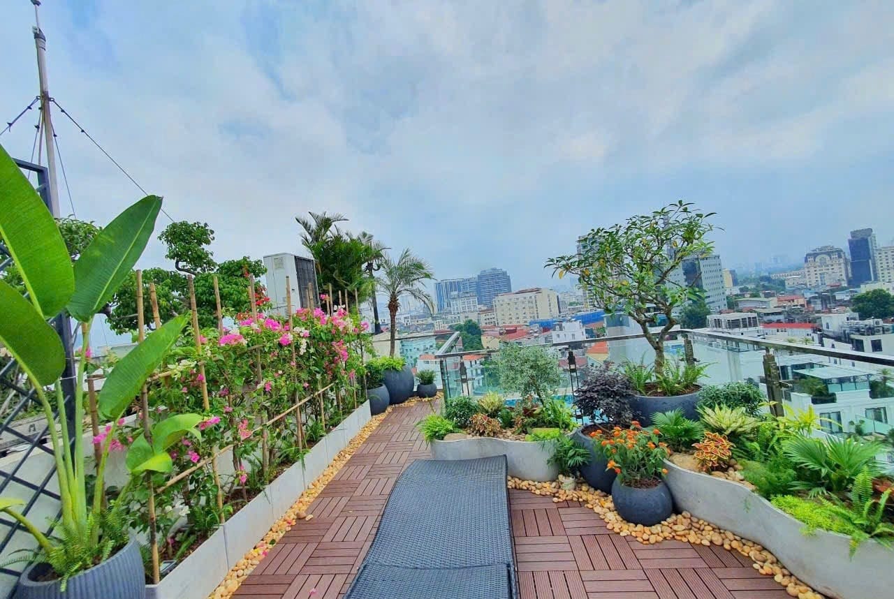 thiết kế trang trí sân thượng, tropical