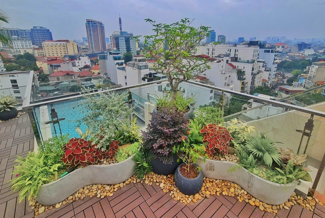 thiết kế trang trí sân thượng