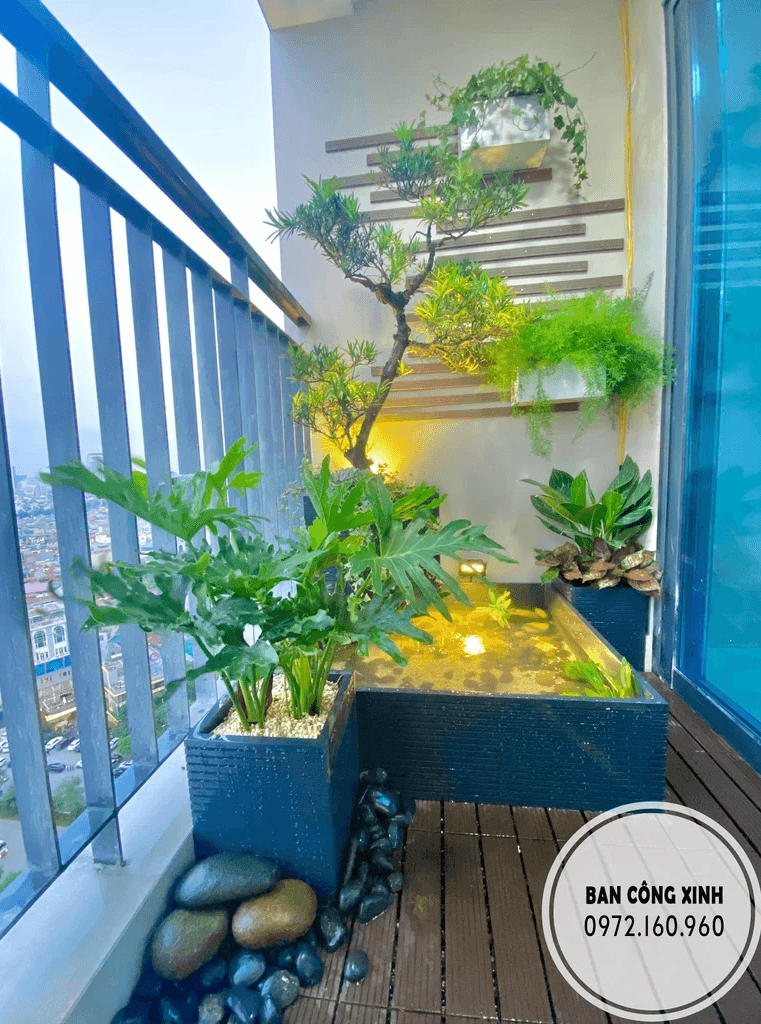 chậu vuông kết hợp tiểu cảnh